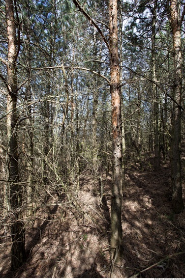 Background Forests