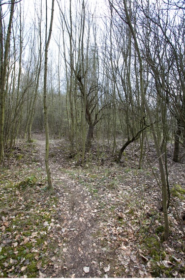 Background Forests