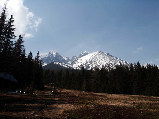 Snowy Mountains