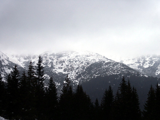 Snowy Mountains