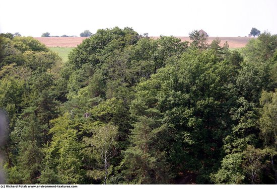 Background Forests