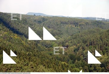 Background Forests
