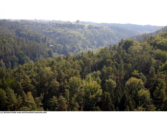 Background Forests