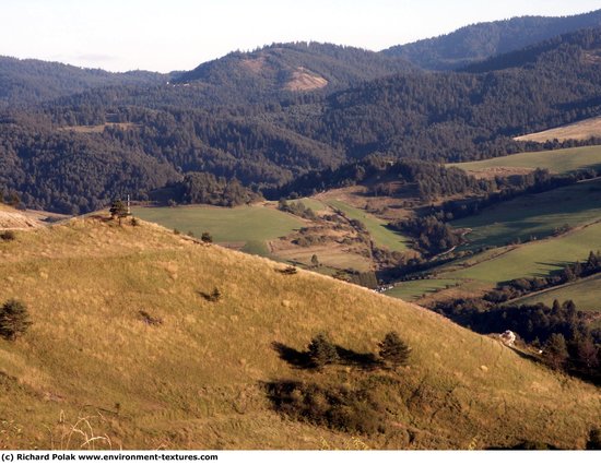 Background Forests