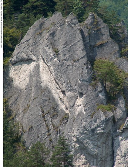 Cliffs Overgrown Rock