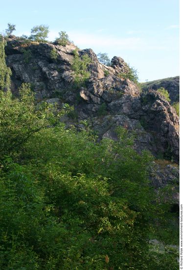 Cliffs Overgrown Rock