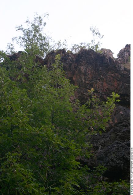 Cliffs Overgrown Rock