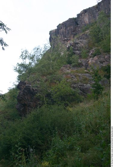 Cliffs Overgrown Rock