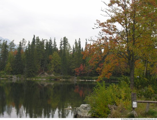 Background Forests