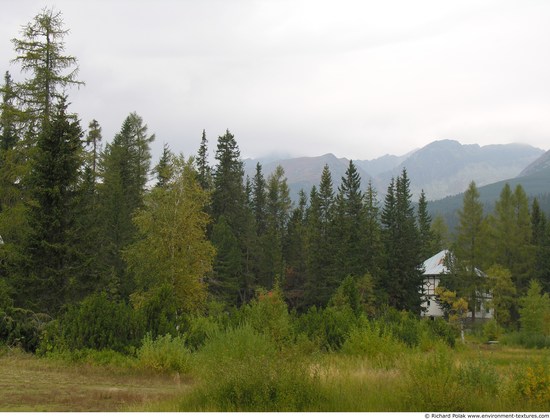 Background Forests