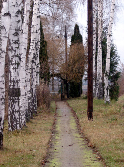 Natures Autumn