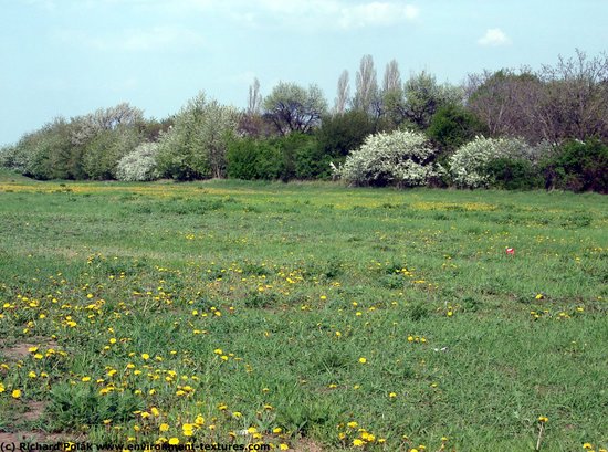 Natures Spring