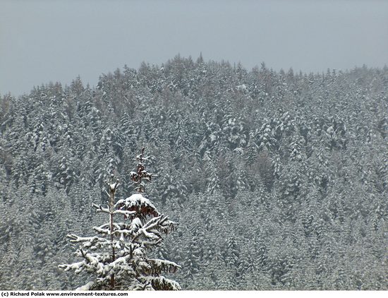 Natures Winter