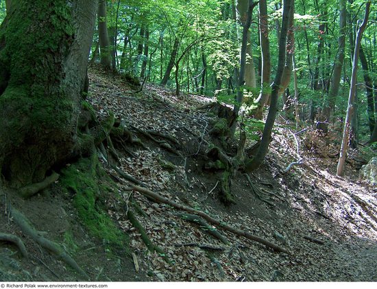 Background Forests