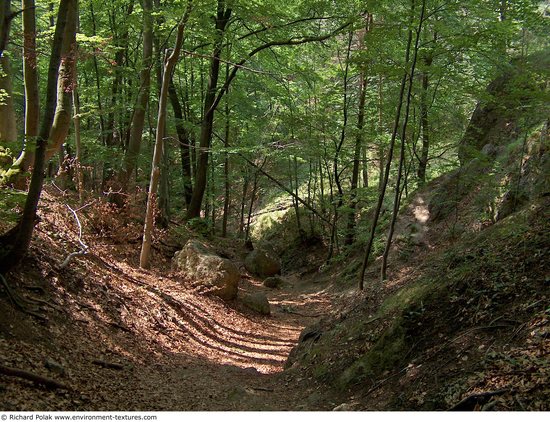 Background Forests