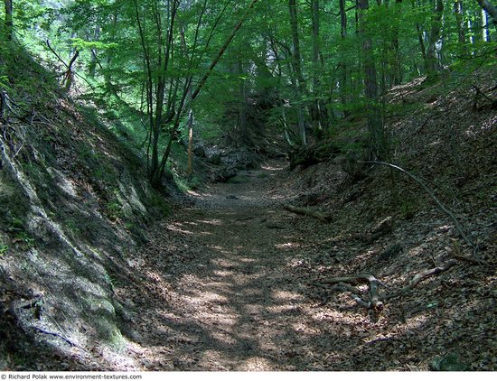 Background Forests