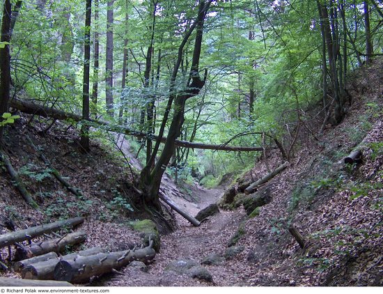 Background Forests