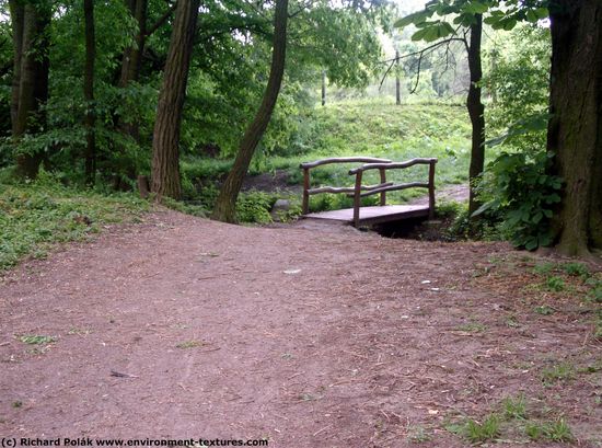 Background Forests