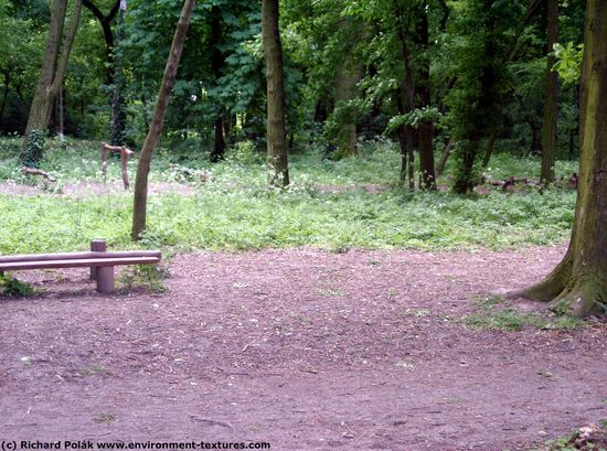 Background Forests