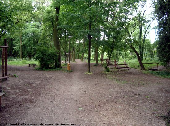 Background Forests