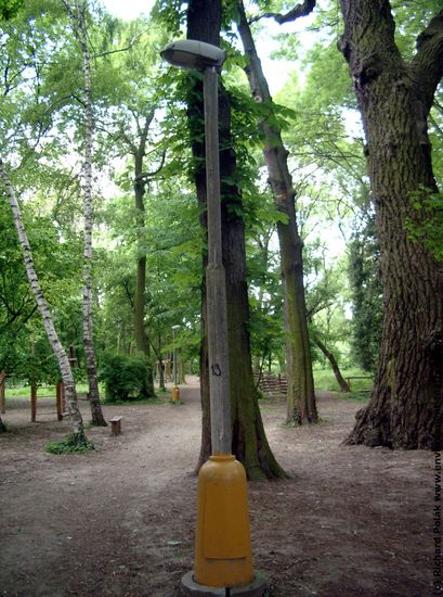 Background Forests