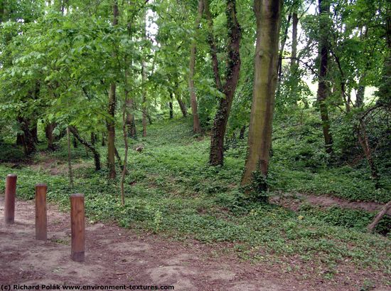 Background Forests