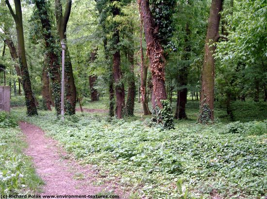 Background Forests