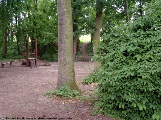 Background Forests