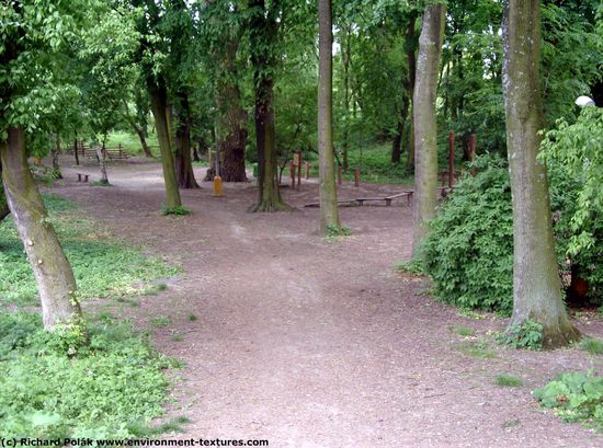 Background Forests