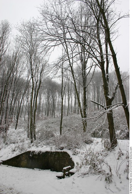 Natures Winter
