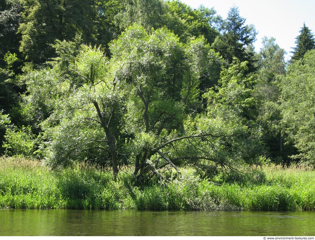 Background Forests