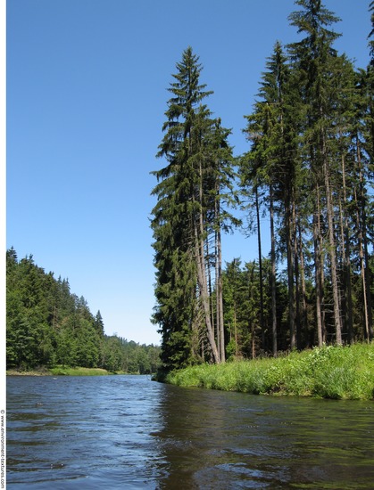 Background Forests