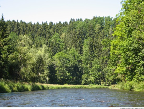 Background Forests