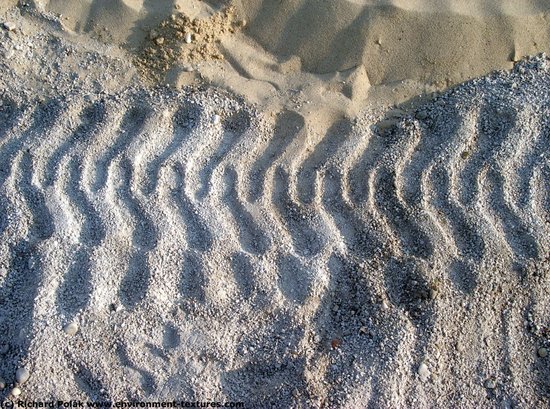 Soil Trace