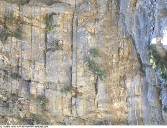 Cliffs Overgrown Rock