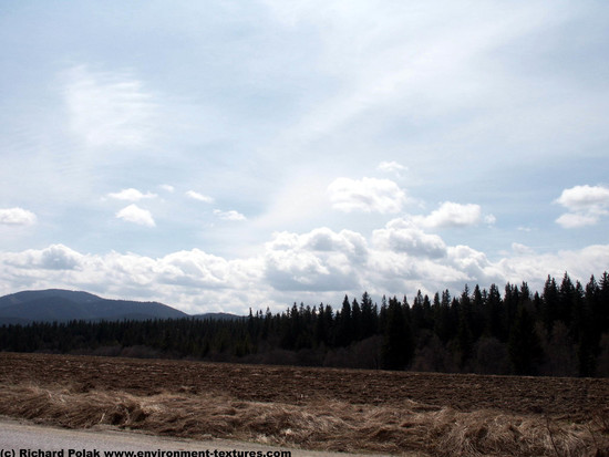 Blue Clouded Skies