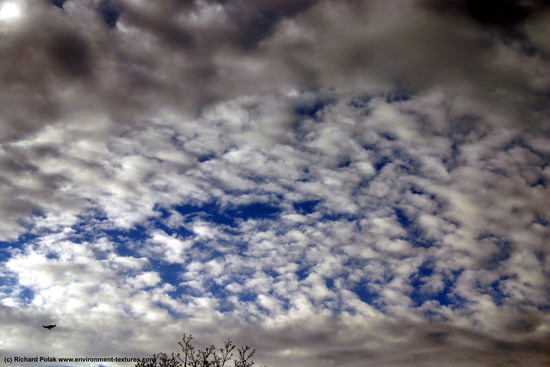 Blue Clouded Skies