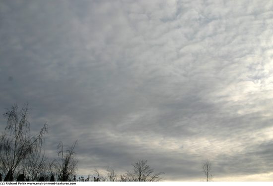 Blue Clouded Skies