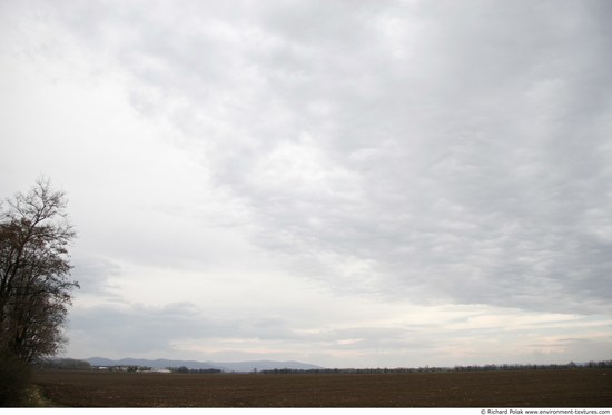 Blue Clouded Skies