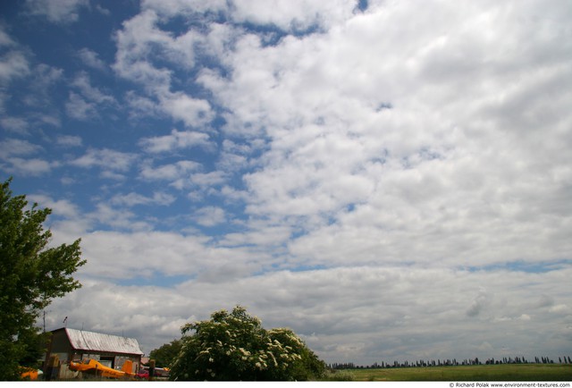 Blue Clouded Skies