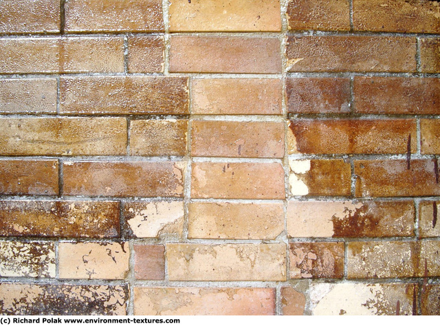 Wall Bricks Damaged