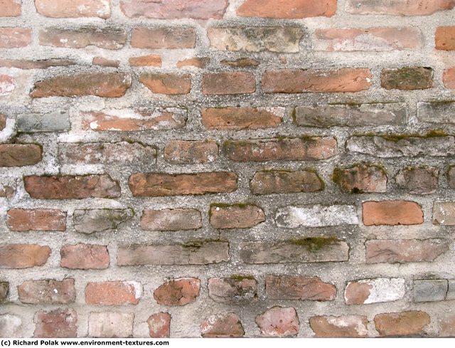 Wall Bricks Damaged