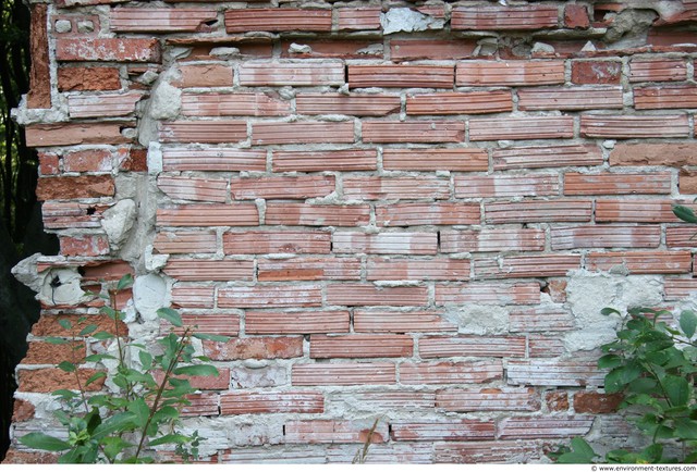 Wall Bricks Damaged