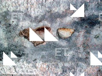 Walls Plaster Damaged