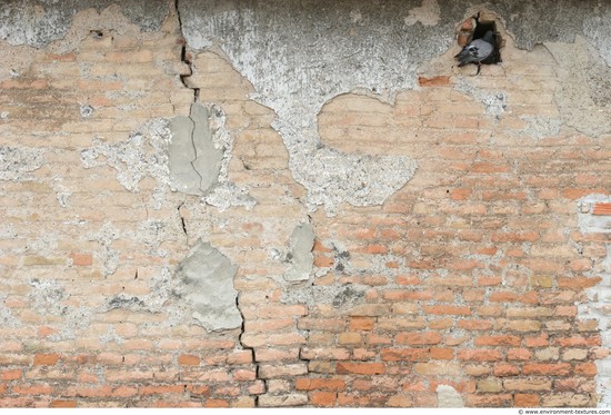 Wall Bricks Damaged