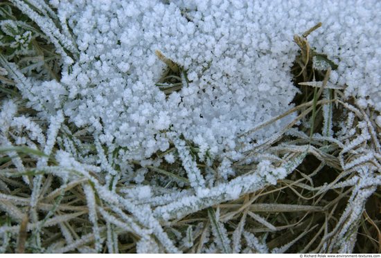 Frozen Ground