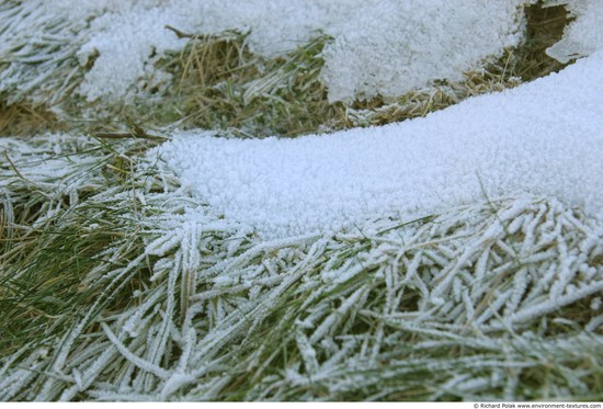 Frozen Ground