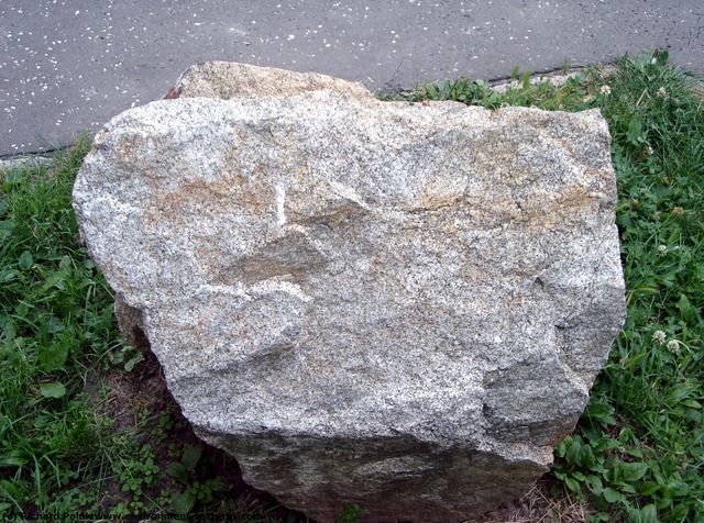 Various Rock