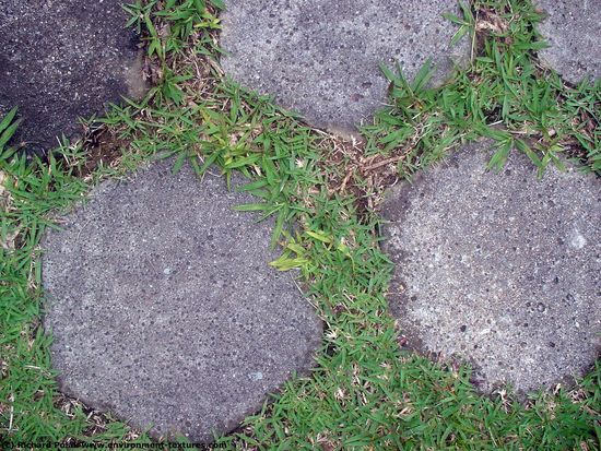 Overgrown Floors