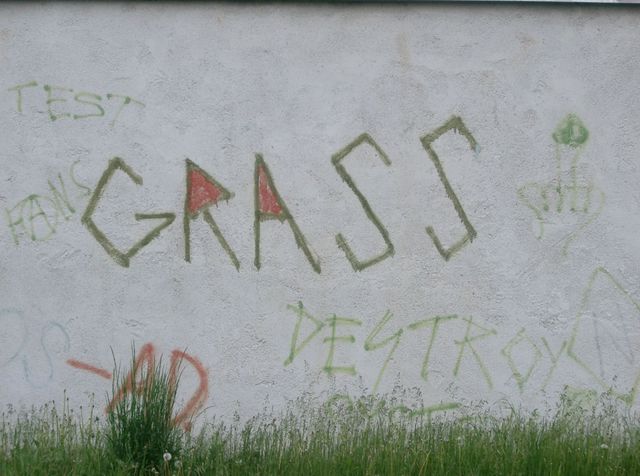 Graffiti